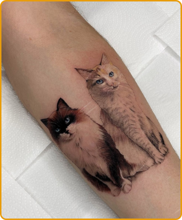 Tatuagem mini realista no antebraço de dois gatos.