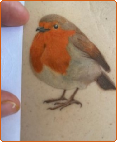 Tatuagem realista de pássaro branco e laranja.