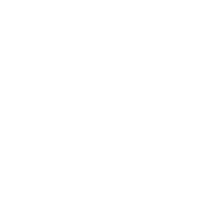 logo da ink academy