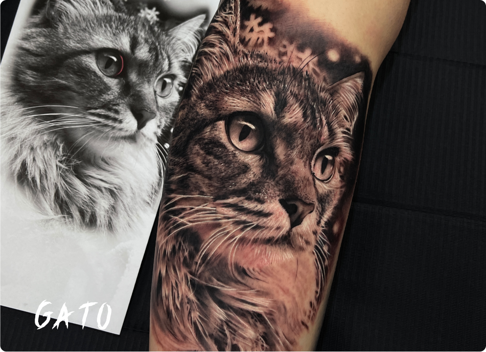 Tatuagem de Realismo Preto e Cinza de um gato