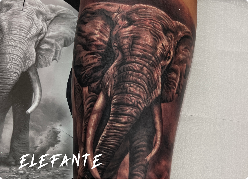 Tatuagem de Realismo Preto e Cinza de um elefante